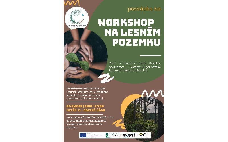 Aktuality - Workshop na lesním pozemku
